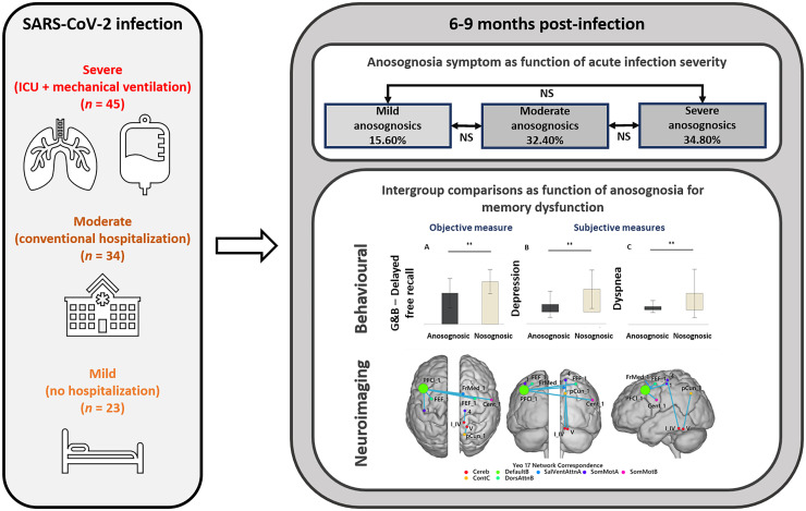 Graphical Abstract