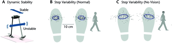 Figure 7.