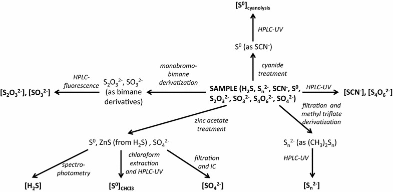 Figure 9