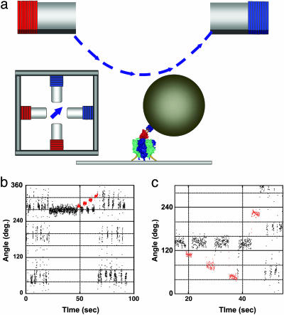 Fig. 1.