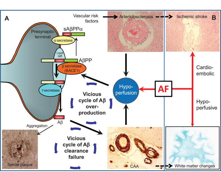 Fig.2