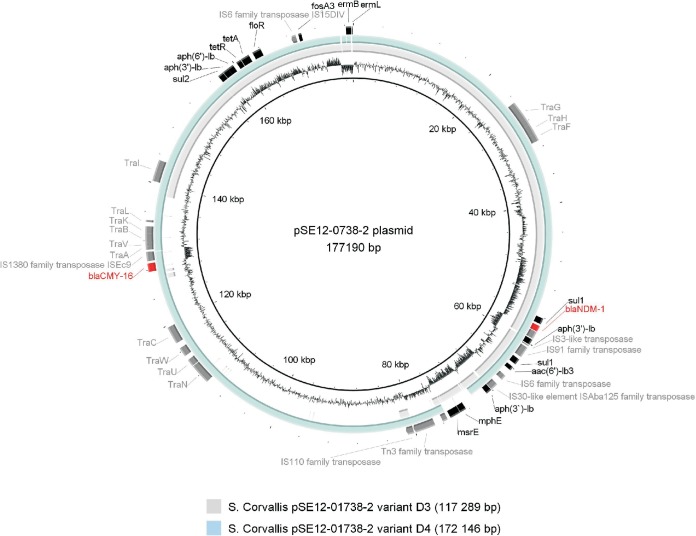 FIG 3