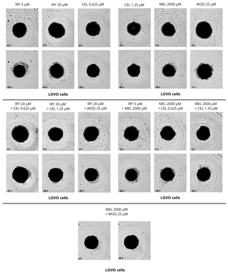 Figure 14