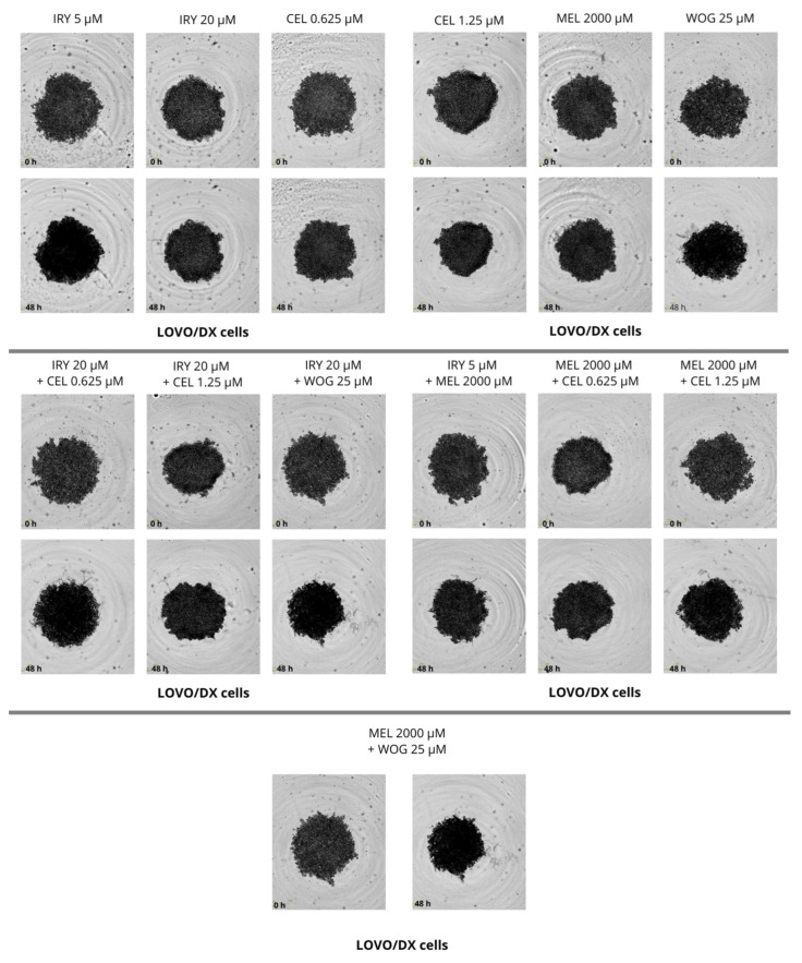 Figure 15