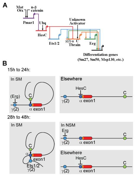 Fig. 9