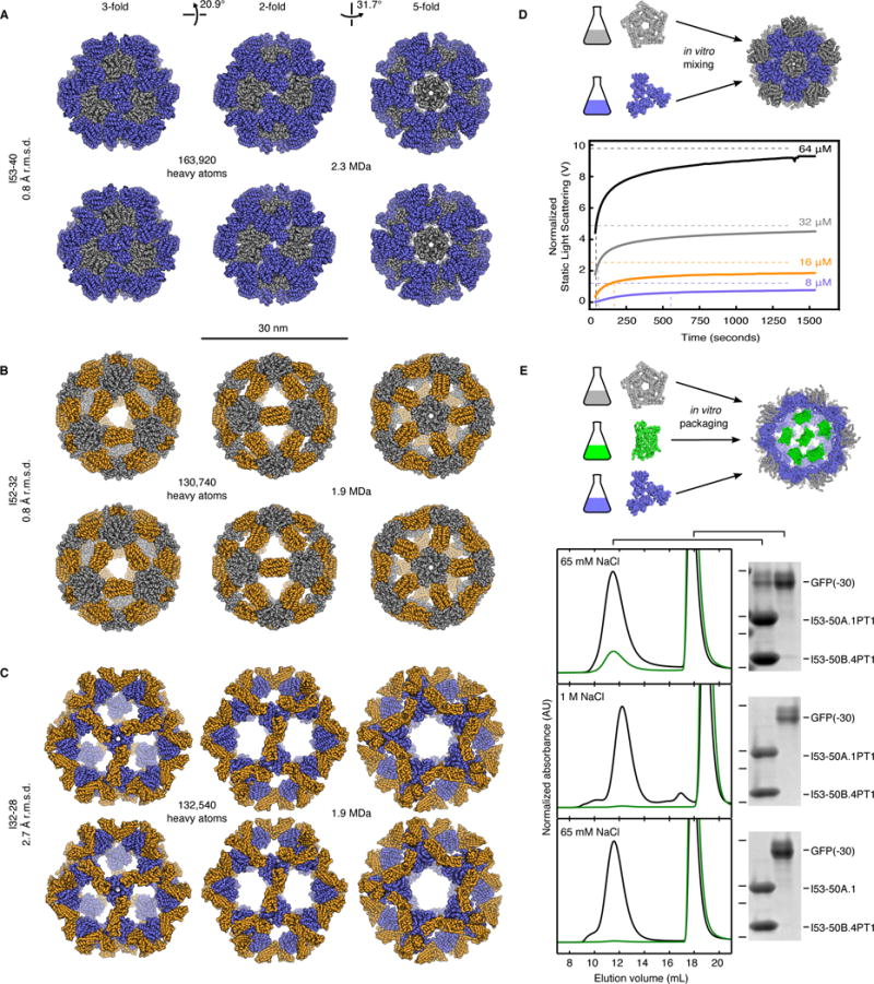 Fig. 4