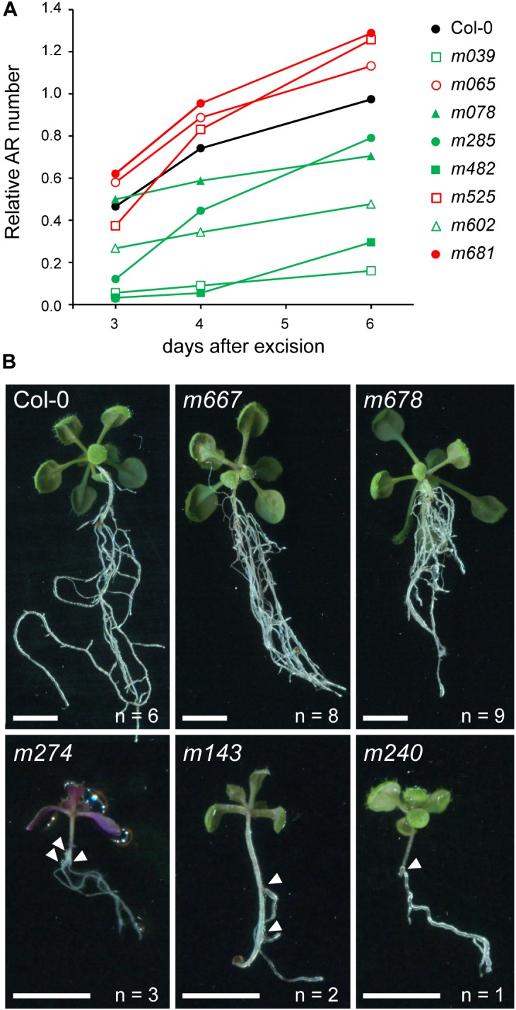 FIGURE 3