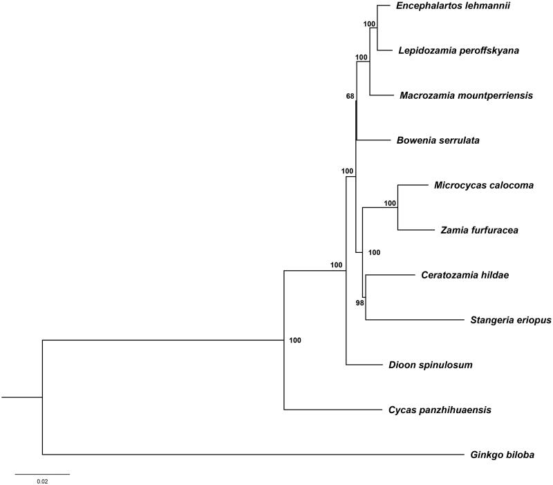 Figure 1.