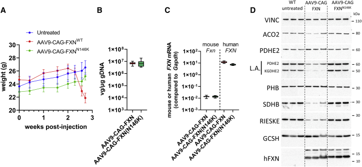 Figure 4