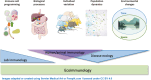 Graphical Abstract