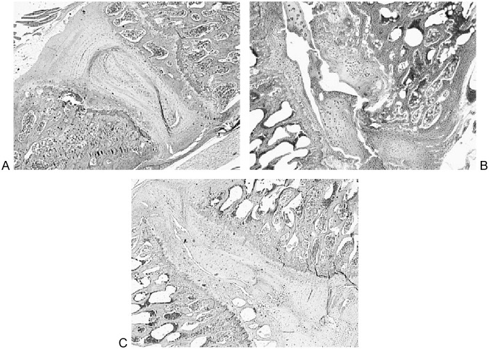 Fig. 5a–c