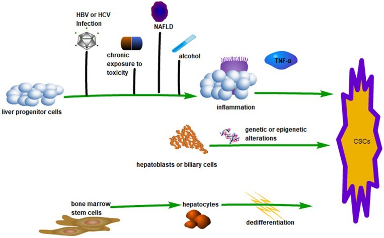 FIGURE 1