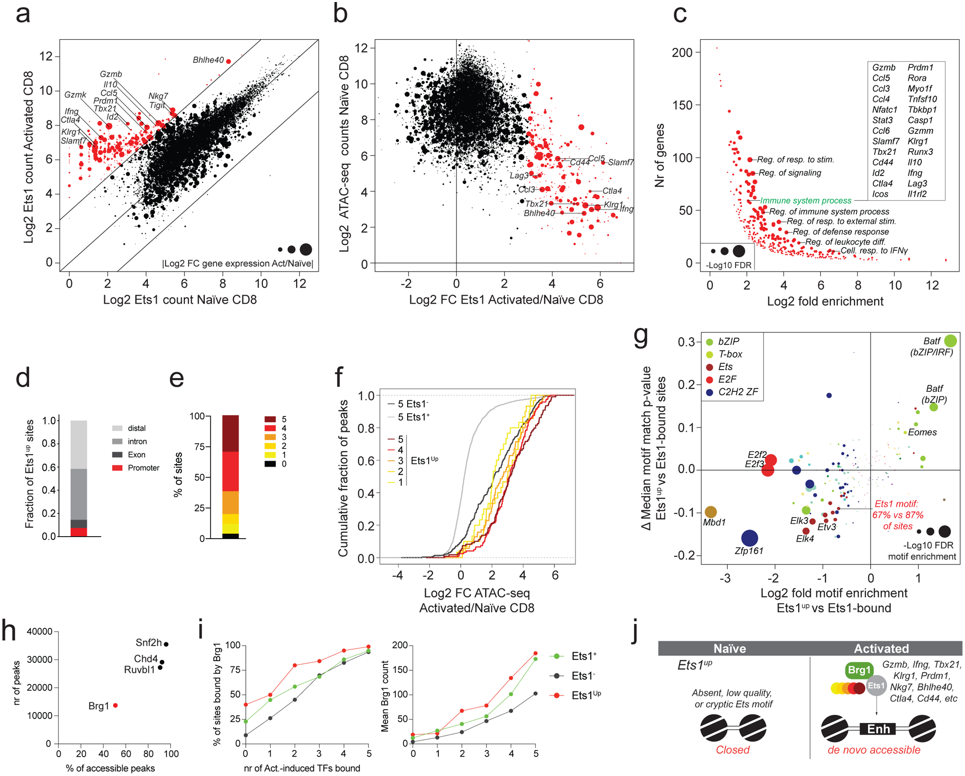 Fig. 4: