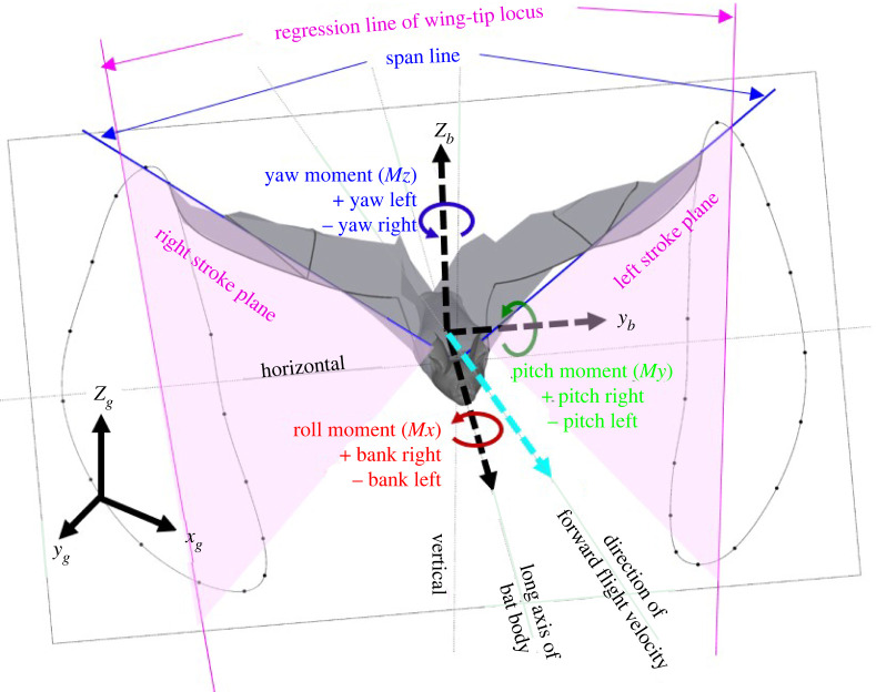 Figure 1. 