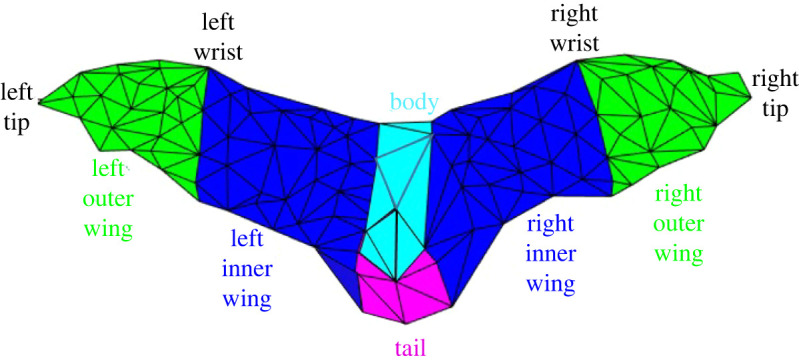 Figure 15. 