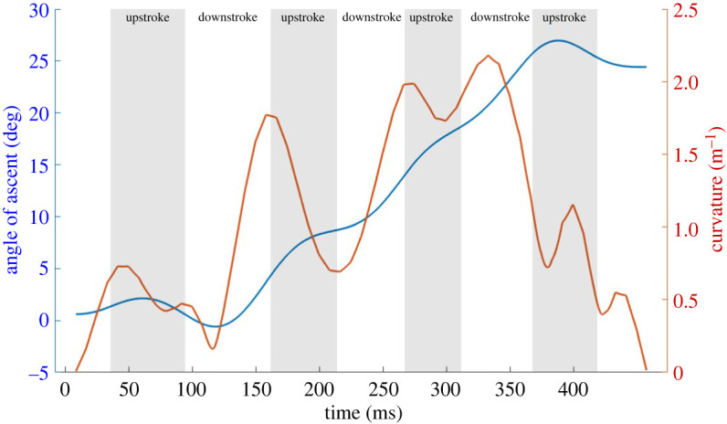 Figure 8. 