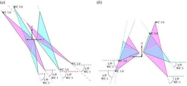 Figure 20. 