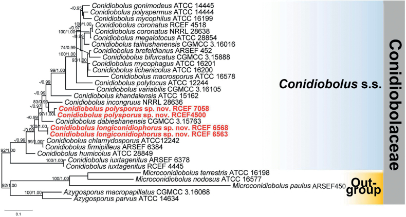 Figure 1.