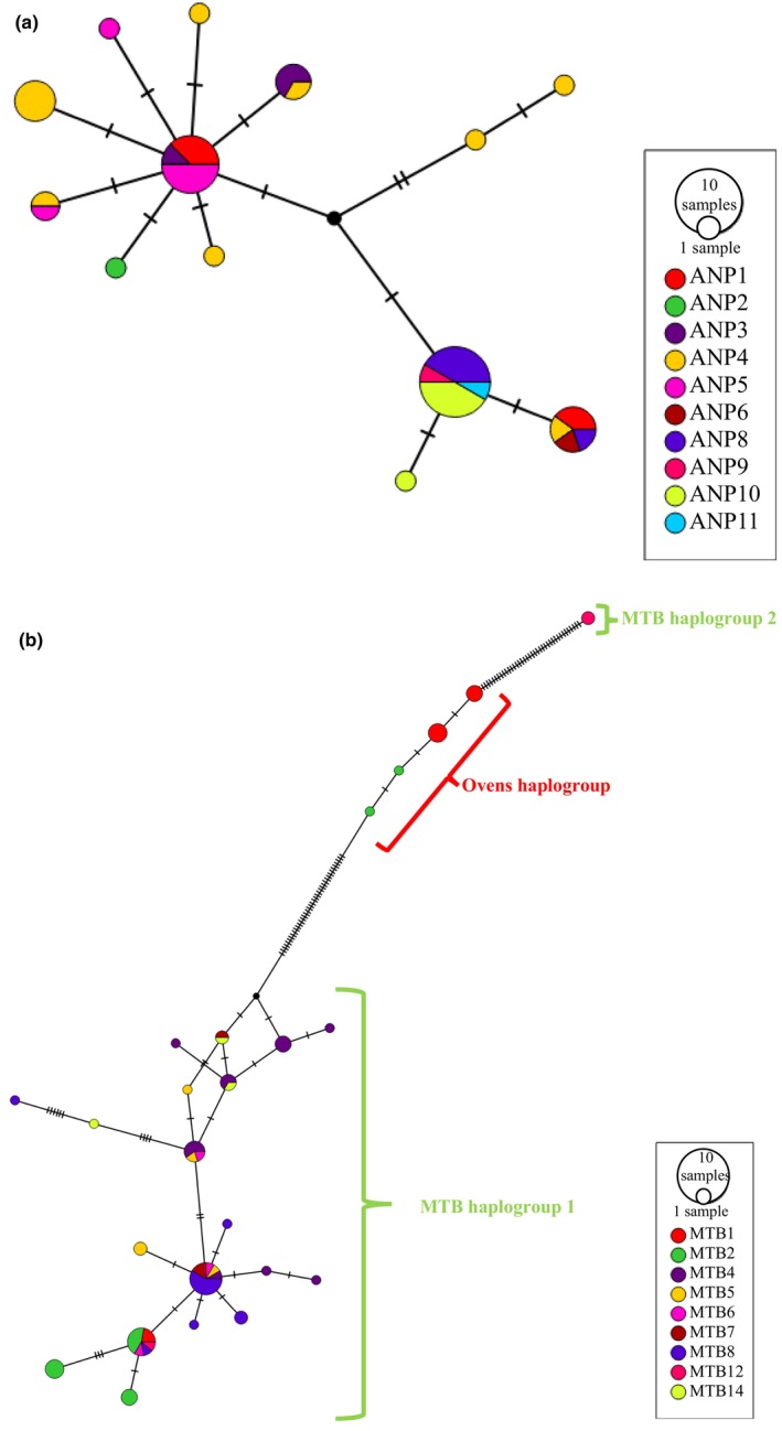 FIGURE 3