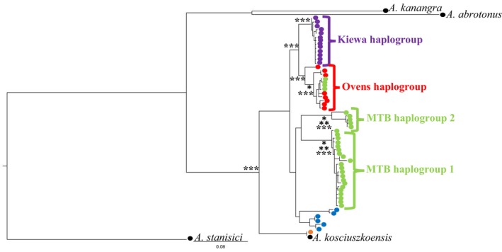 FIGURE 2