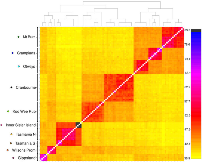 FIGURE 4