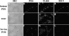 F<sc>igure</sc> 3.