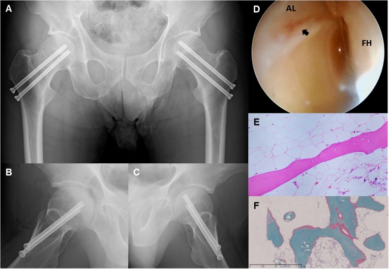 Fig. 4