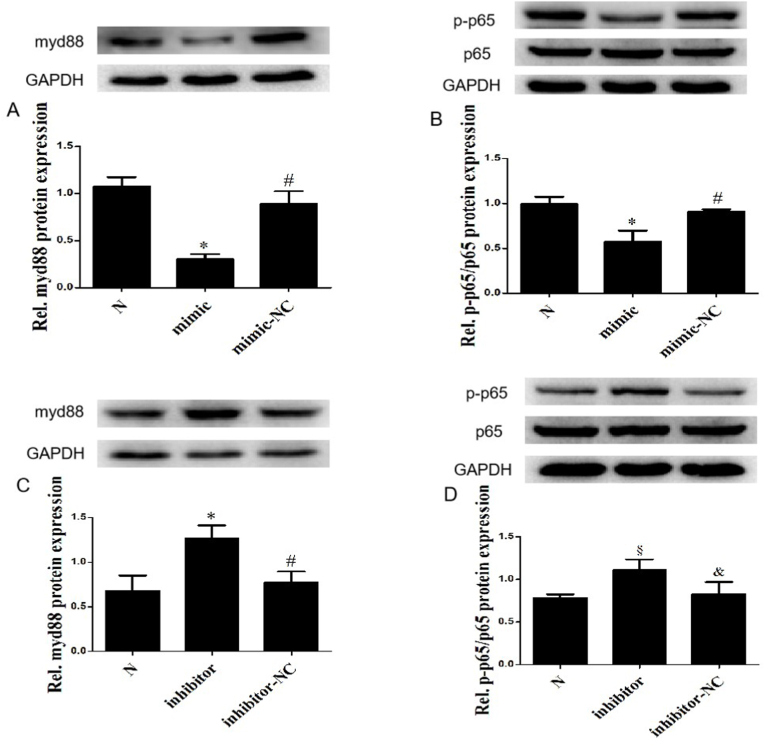 Fig. 2