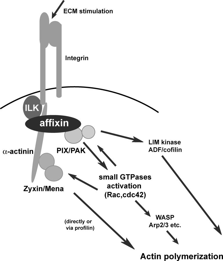 Figure 10.