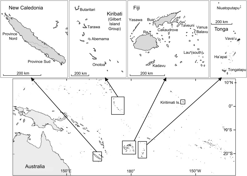 Fig 1