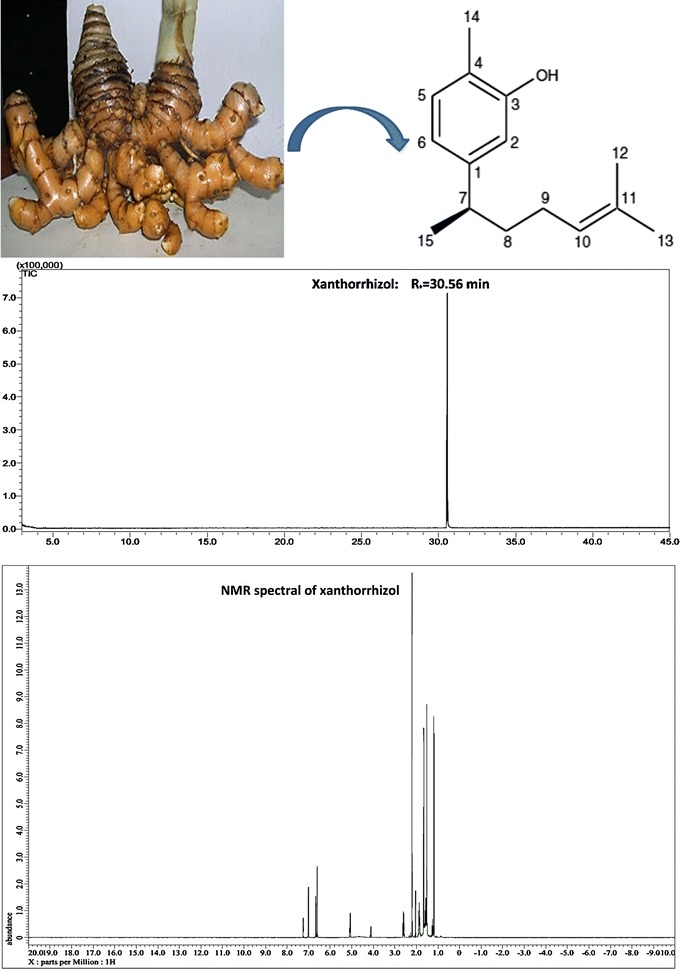 Fig. 2