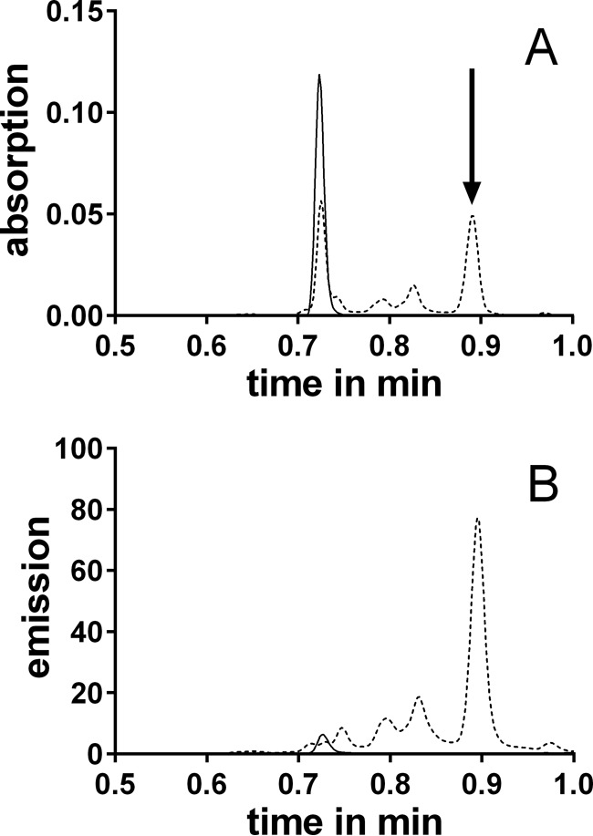 FIGURE 1.