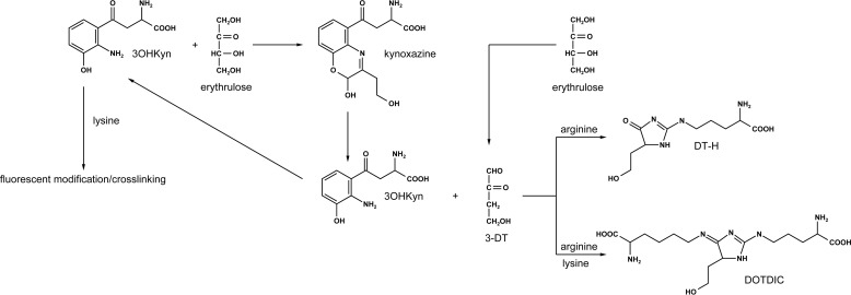 FIGURE 10.