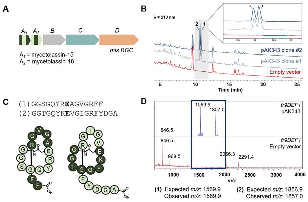 Figure 4.