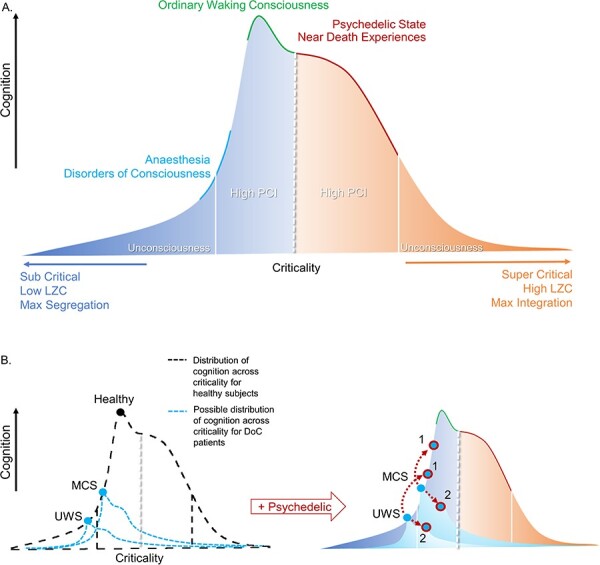 Figure with two panels labelled A and B. A is a representation of global states (i.e., wakefulness) and their relative cognition as a function of criticality. B displays how a UWS and MCS patient might respond to a psychedelic.