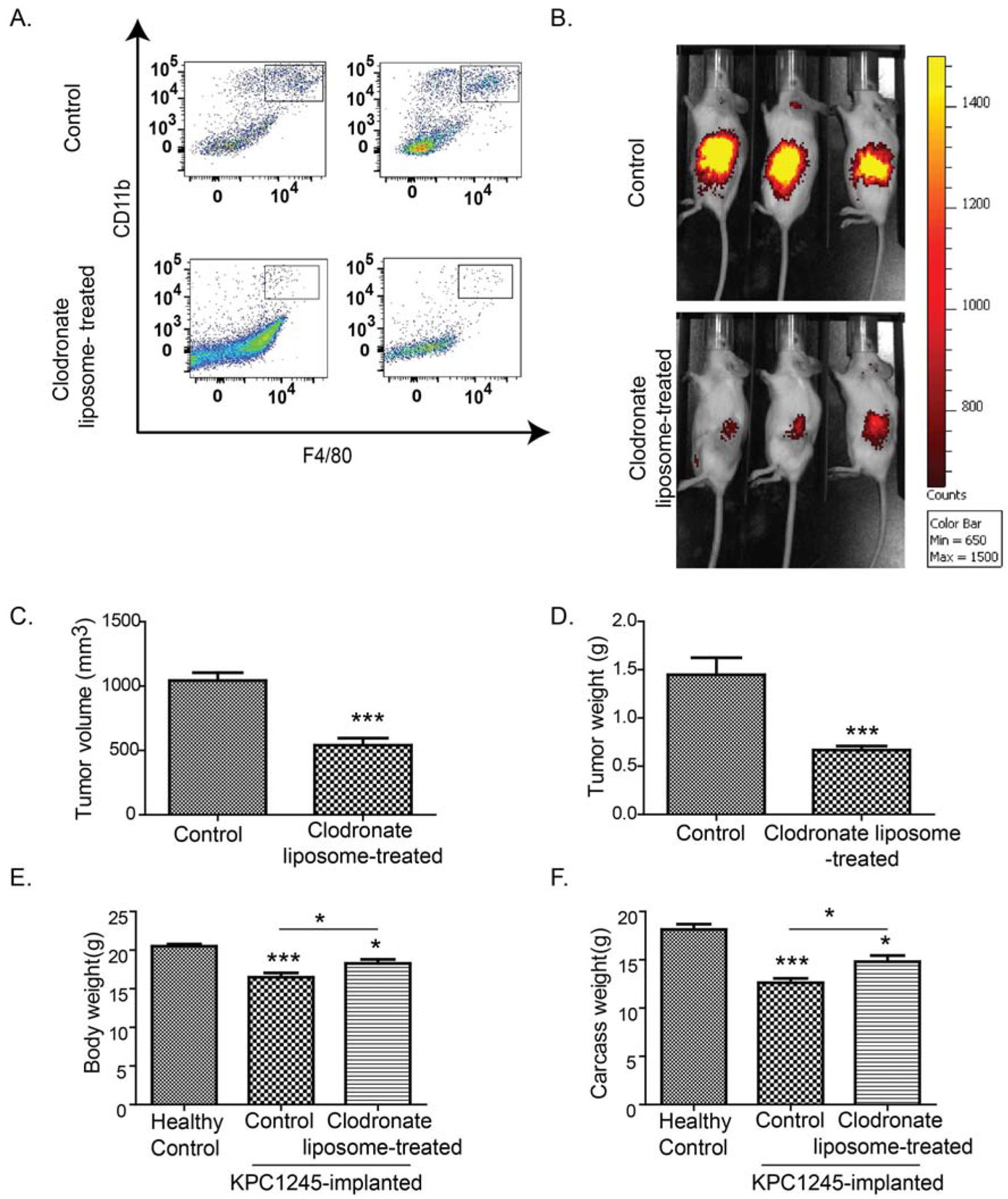 Figure 2: