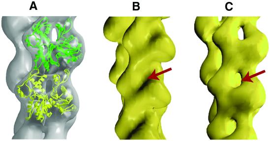 Fig 1.