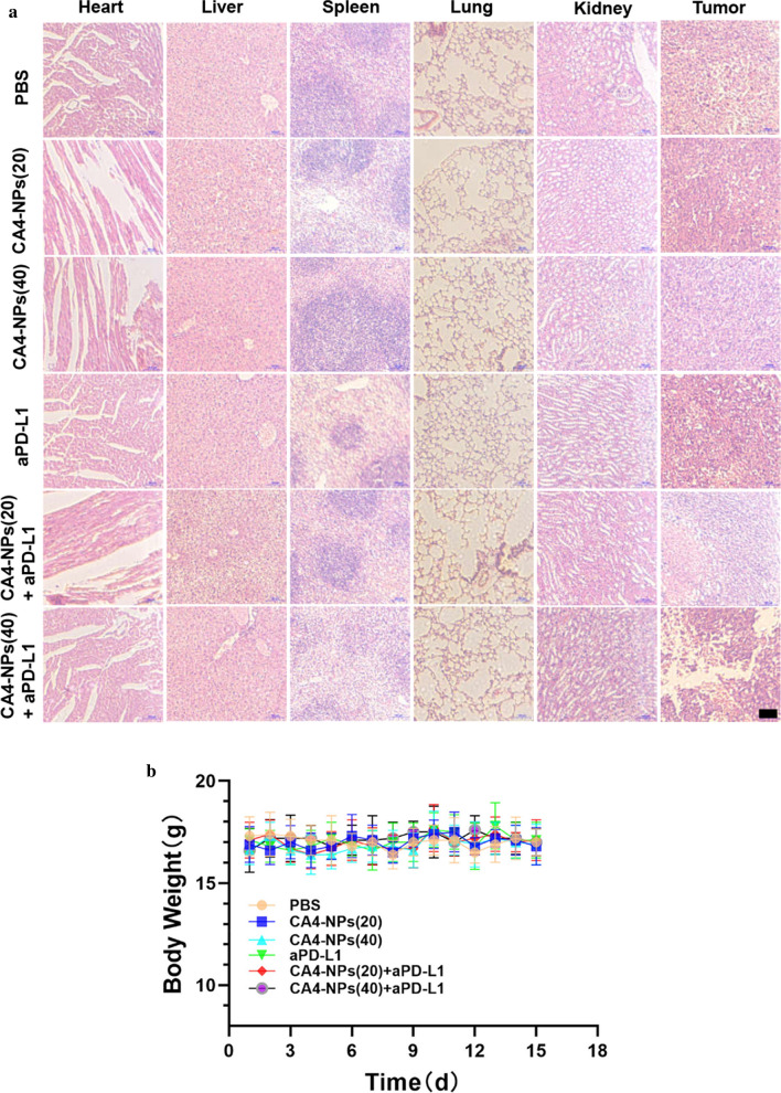 Fig. 7