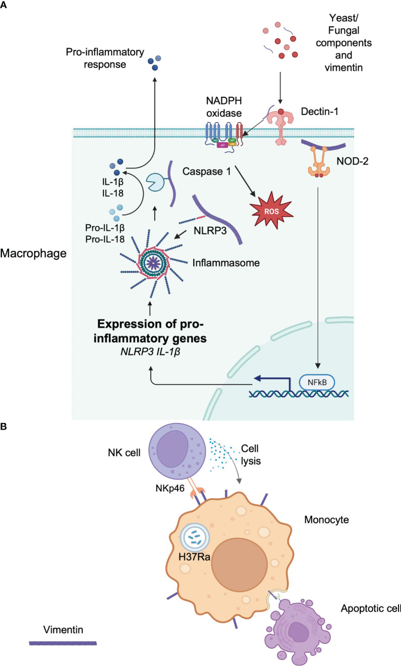 Figure 2