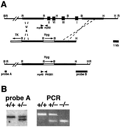 FIG. 1.