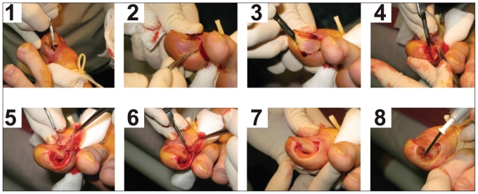 Fig. 2