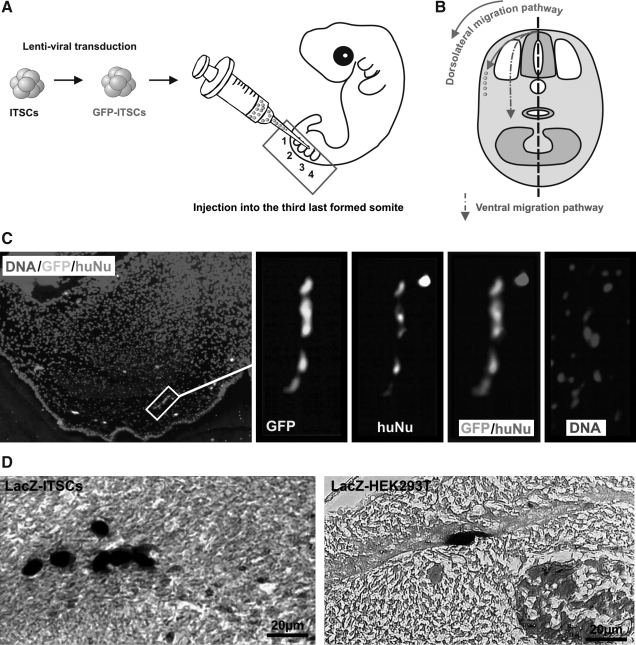 FIG. 8.