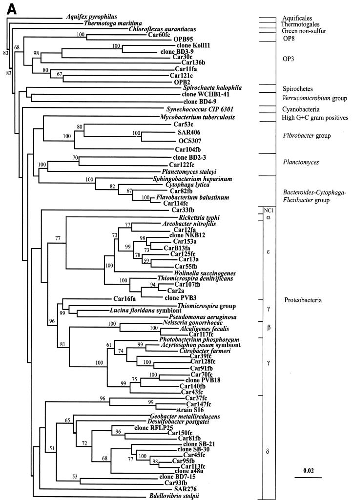 FIG. 1