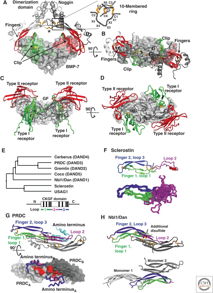 Figure 12.