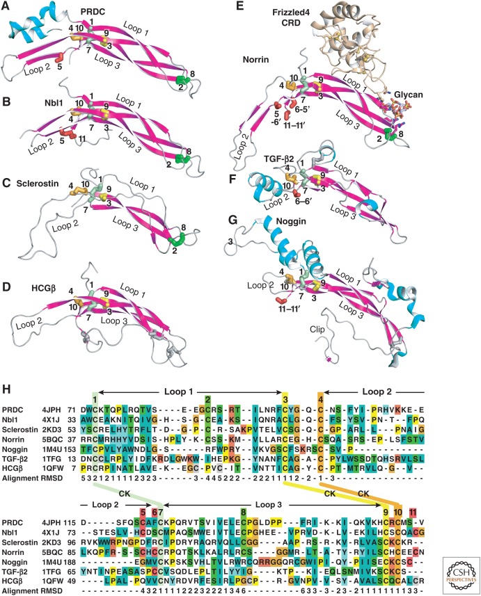 Figure 11.