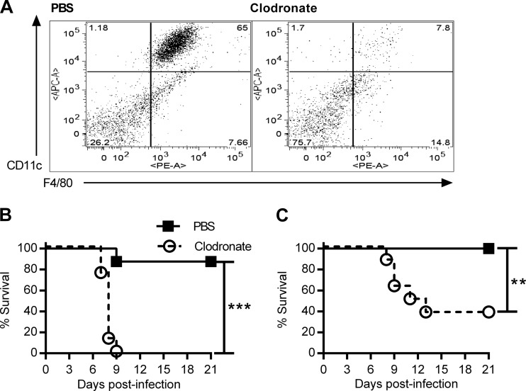 FIG 1