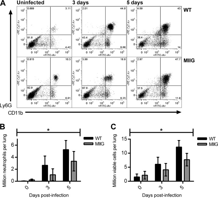 FIG 3