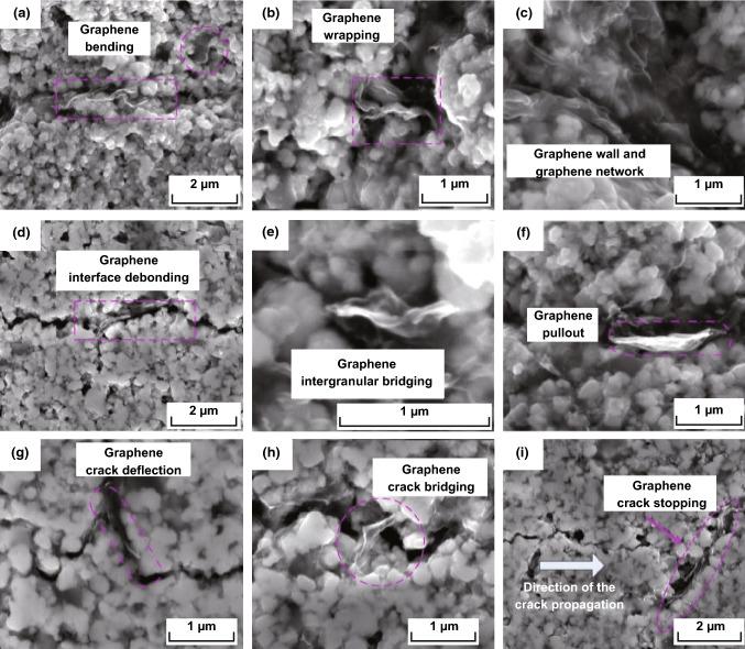 Fig. 16