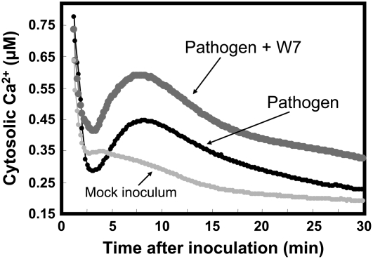 Figure 3.