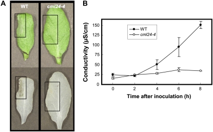 Figure 4.